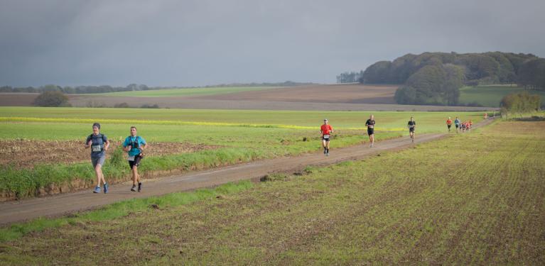 chemin de la craie