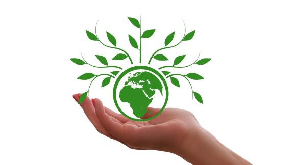 Climate program