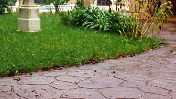 Jardin béton décoratif