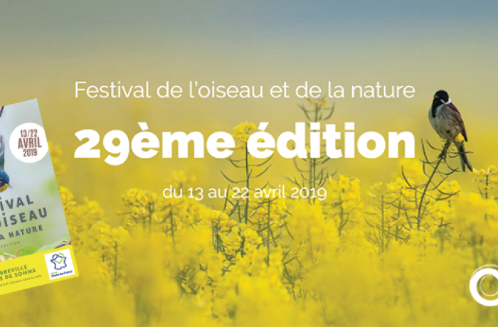 banniere_festival_oiseau