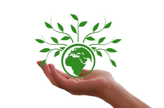 Climate program