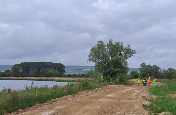 Roselière de la carrière de Vandières