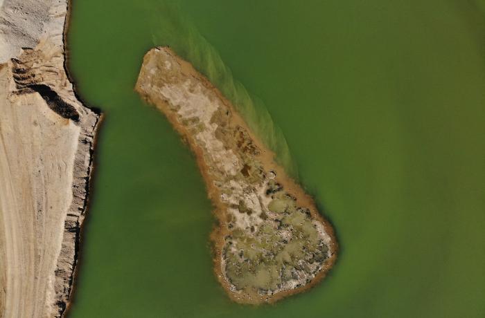 Ilot créé pour favoriser la biodiversité sur la carrière de Vandières 